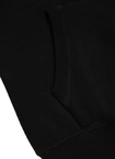 Bluza męska z kapturem Pitbull Pit Bull Small Logo 24 hooded czarna