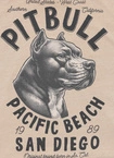 Koszulka męska T-Shirt Pit Bull Pitbull Denim Washed Raw Pacific ultra kremowa