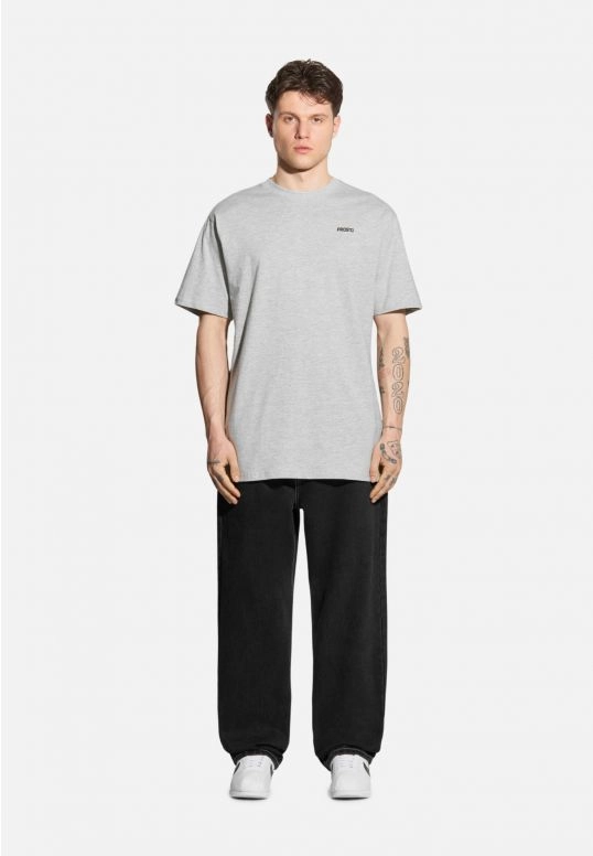 Koszulka męska t-shirt Prosto Base szara