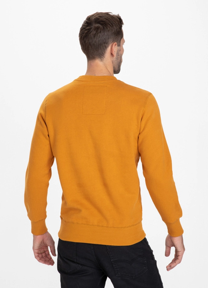 Bluza bez kaptura Pitbull TNT crewneck honey yellow