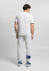 Koszulka męska t-shirt Prosto Root szaro/granatowa