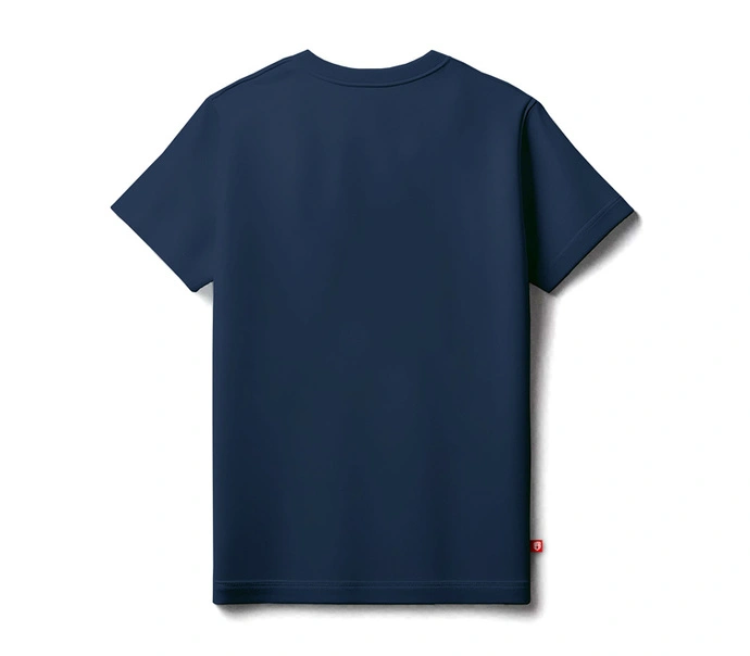 Koszulka męska t-shirt Street Autonomy Kings granatowa