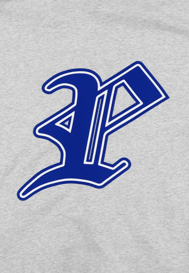 Komplet męski dresowy Prosto Ghotic P szary