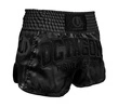 Spodenki Muay Thai Kickboxing Legion Octagon Fight Legion Premium czarne