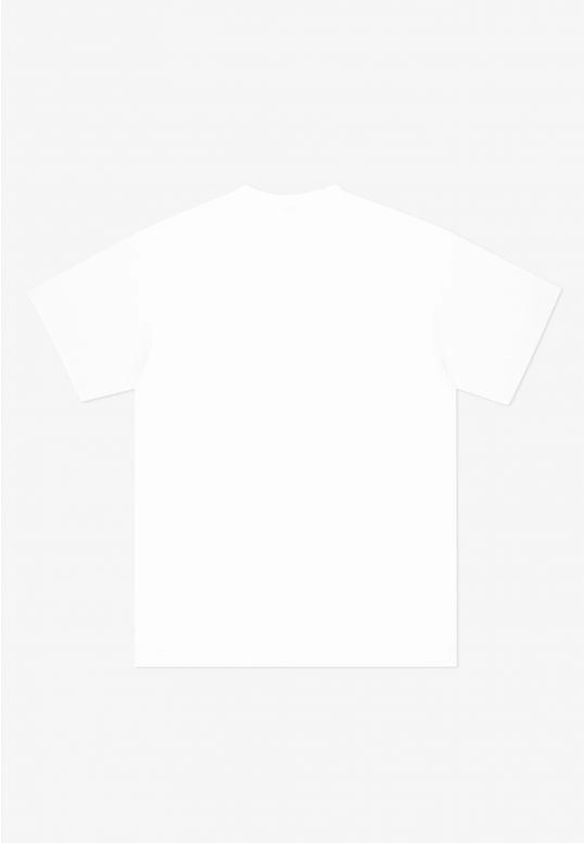 Koszulka męska t-shirt oversize Prosto Cameleo biała