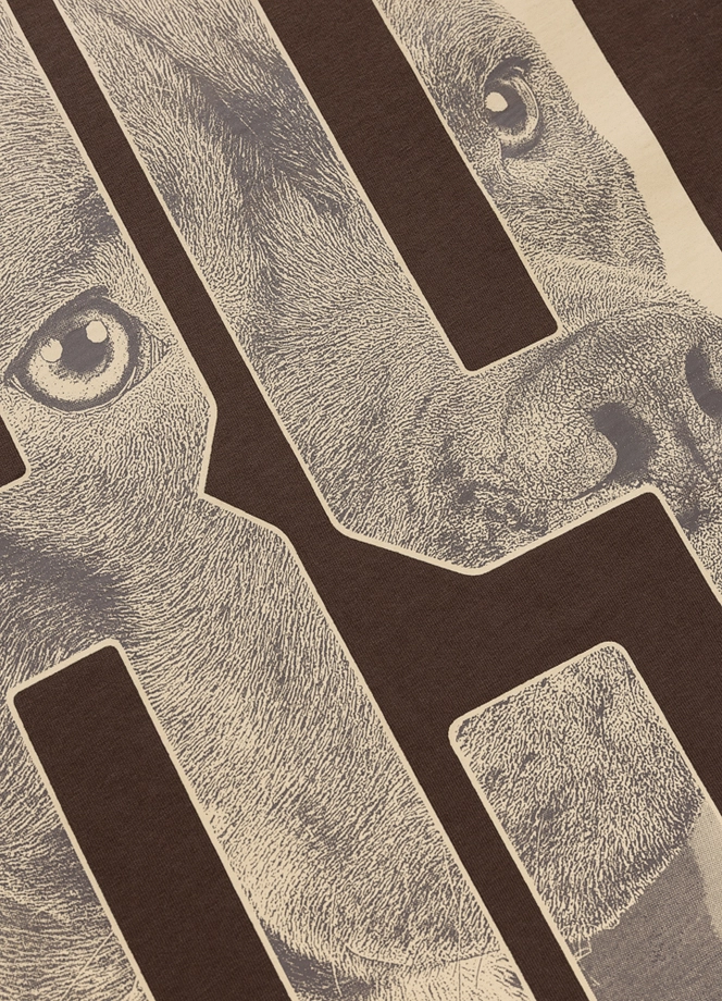 Koszulka męska T-Shirt Pitbull Eighty Nine Dog ciemno brązowa