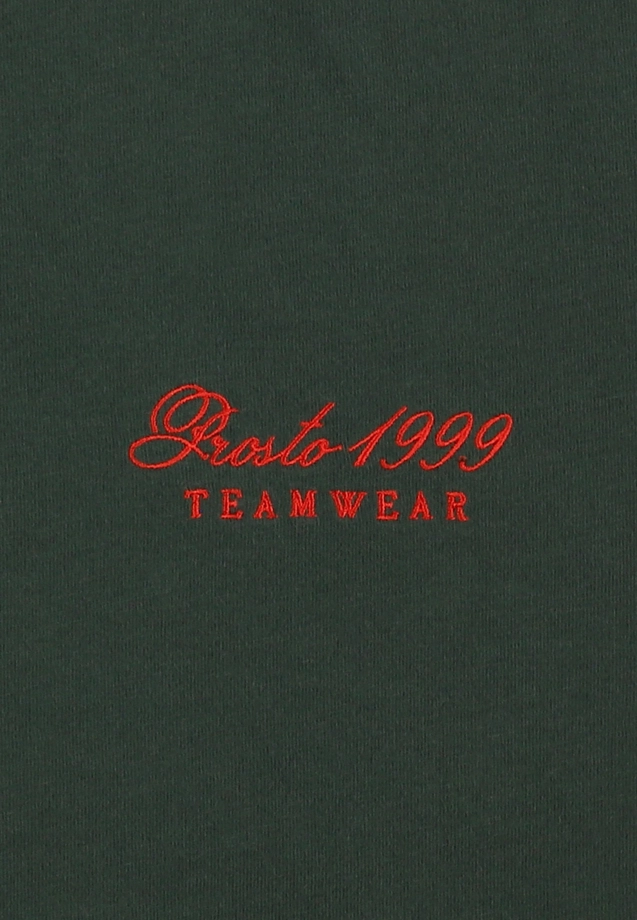 Koszulka męska t-shirt Prosto Team zielona