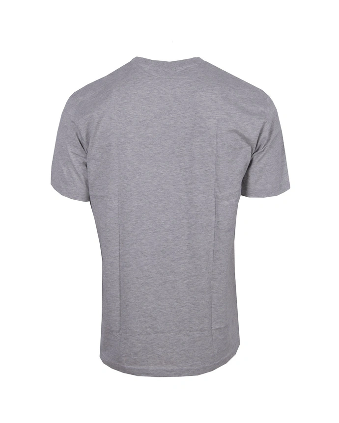 Koszulka męska t-shirt Prosto Klasyk Teas szara
