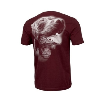 Koszulka T-Shirt Pit Bull San Diego IV burgundy