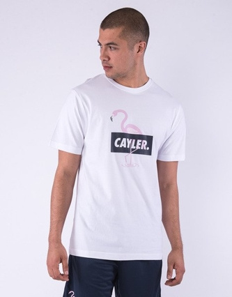 Koszulka T-shirt Cayler & Sons Camingo Tee white