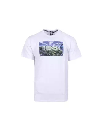 Koszulka męska T-shirt DIIL Plants DTS1248 biała