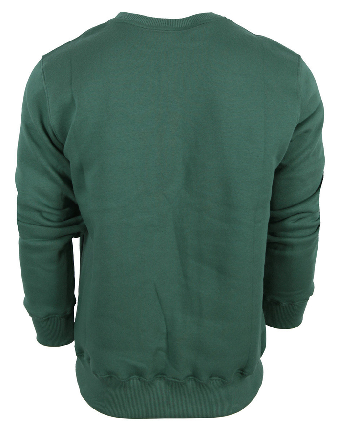 Bluza DIIL Frame crewneck green