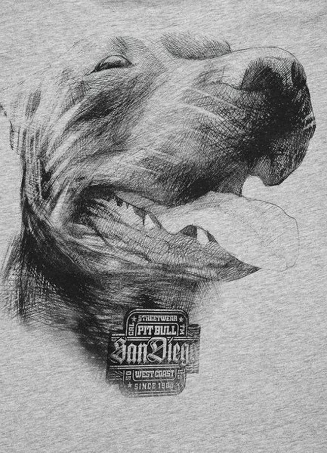 Koszulka T-Shirt Pit Bull San Diego IV grey melange