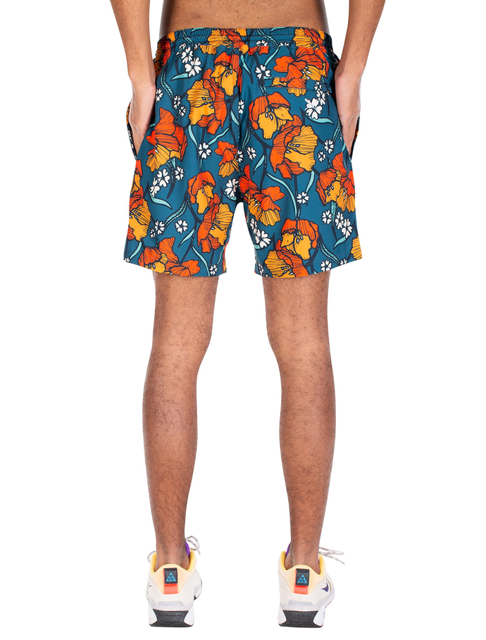 Spodenki Iriedaily Szorty Crazy Shorts blue