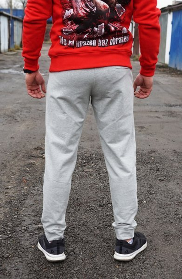 Spodnie dresowe Octagon TH slim sport grey